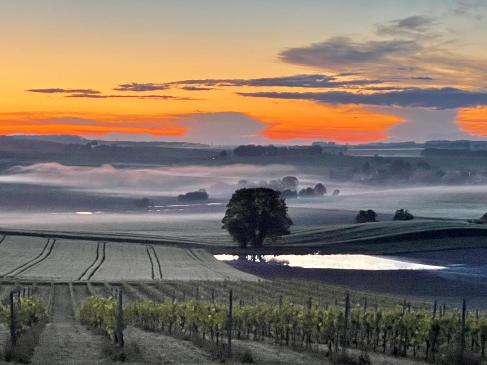 Paradis Des Vignes Birac  Room photo