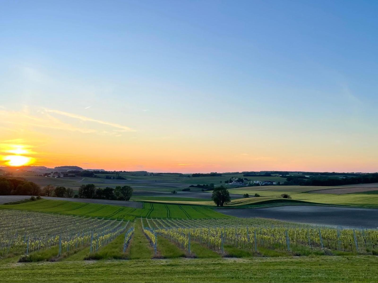 Paradis Des Vignes Birac  Room photo