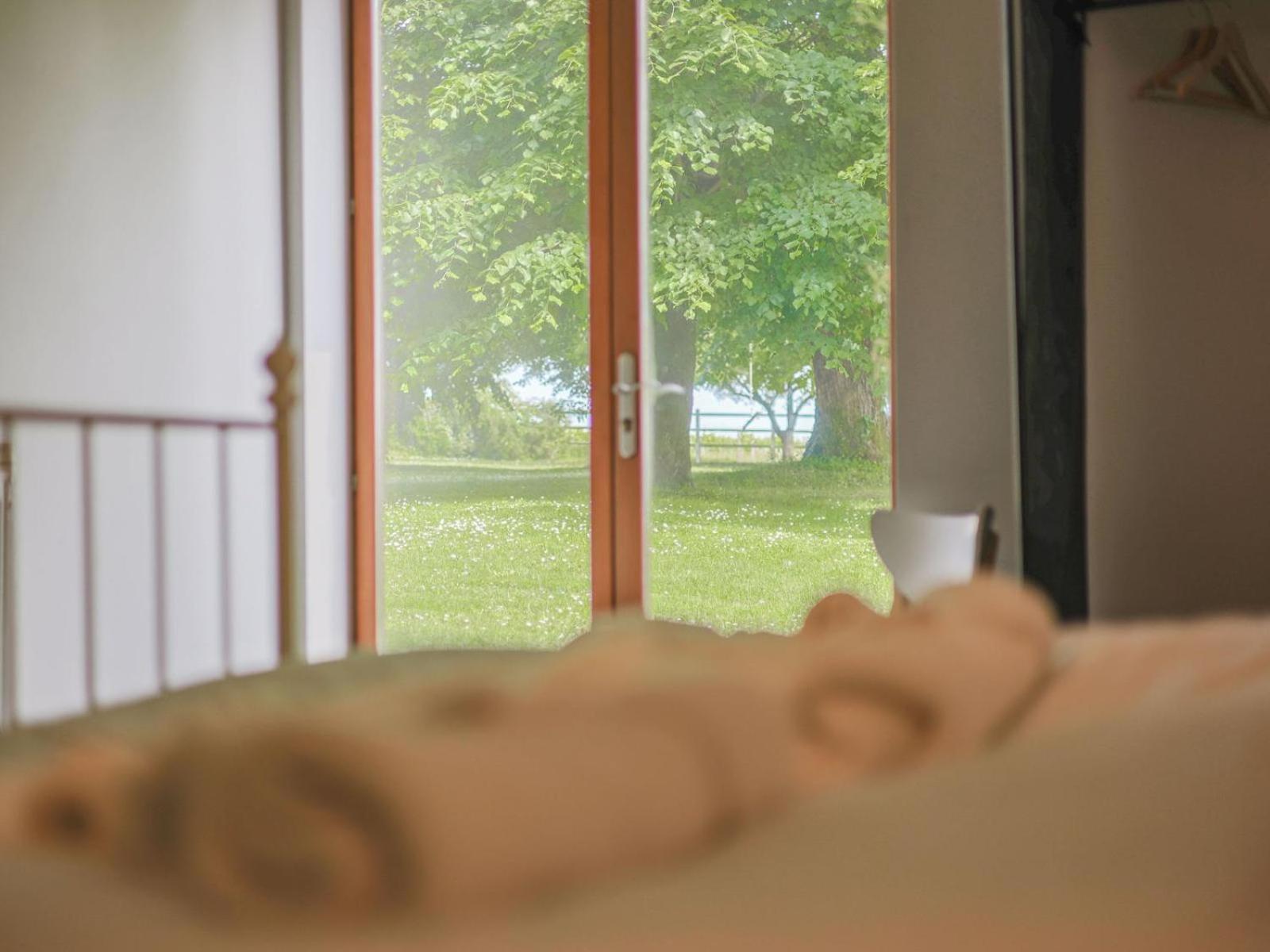 Paradis Des Vignes Birac  Room photo