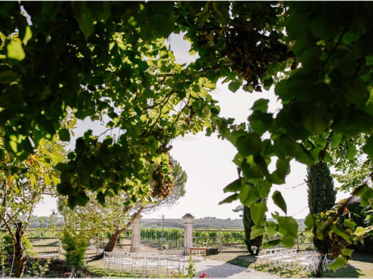 Paradis Des Vignes Birac  Exterior photo